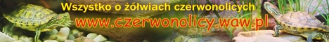 w Czerwonolicy